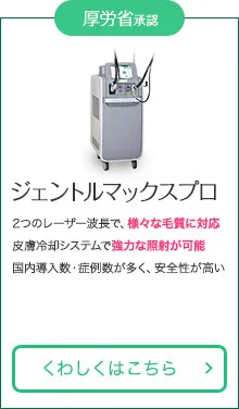 ジェントルマックスプロ