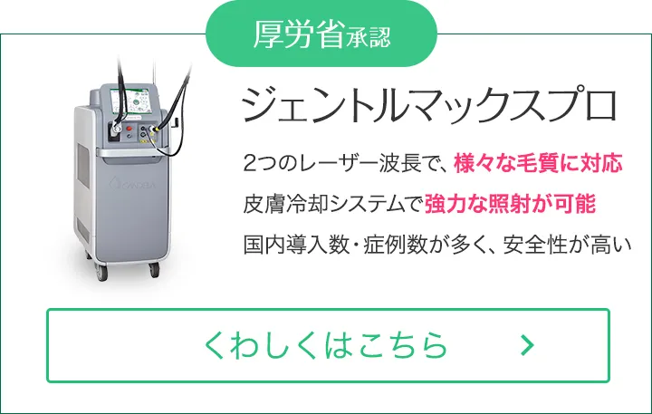 ジェントルマックスプロ