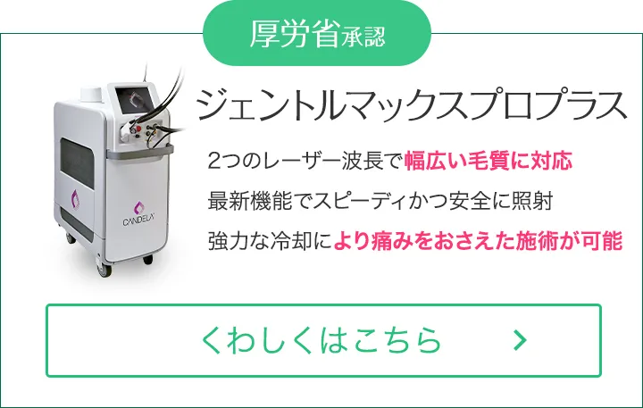 ジェントルマックスプロプラス