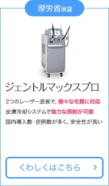 ジェントルマックスプロ