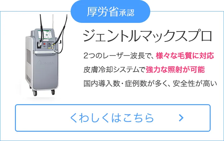 ジェントルマックスプロ