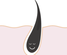hair_cycle_img_01